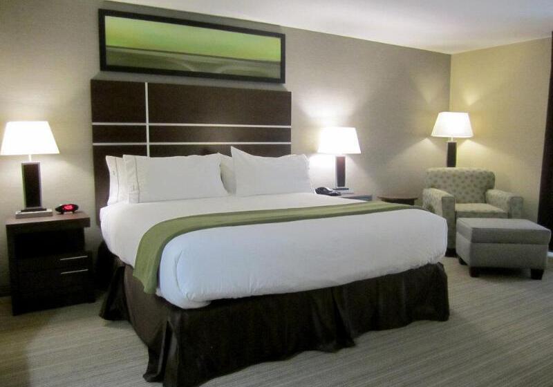 غرفة قياسية سرير كينج لذوى الإحتياجات الخاصة, Holiday Inn Express Golden Kicking Horse, An Ihg