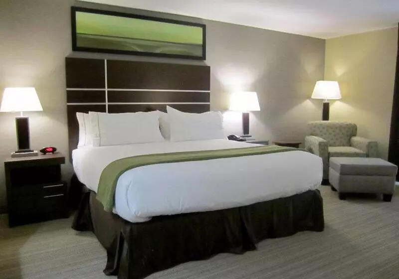 身障者適用キングサイズベッドルーム, Holiday Inn Express Golden Kicking Horse, An Ihg
