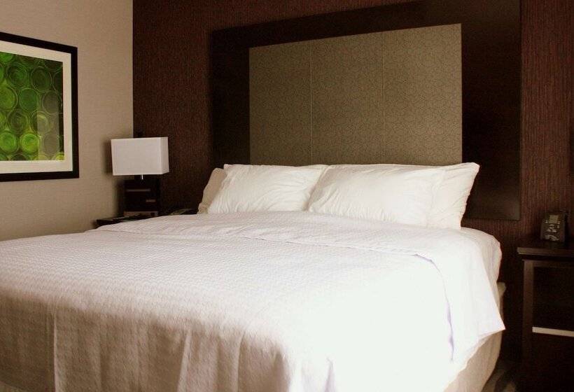 带大床的套房, Homewood Suites By Hilton Dubois, Pa