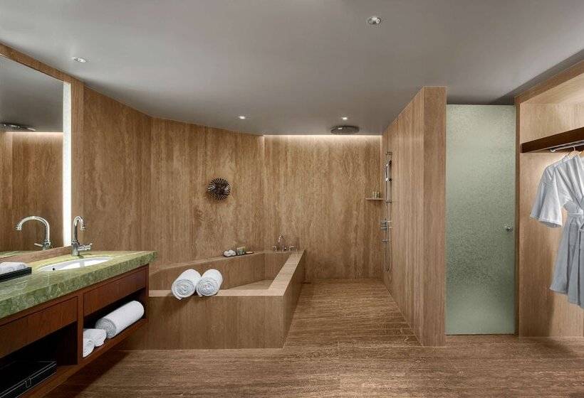 Президентский Люкс, Park Hyatt Chennai