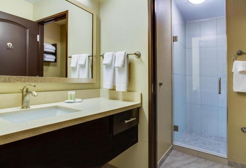 Студия Стандарт Кровать Куин, Staybridge Suites Atlanta Airport