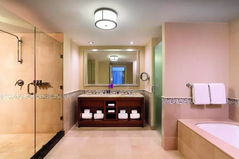 اتاق استاندارد با تخت بزرگ, The Ritz Carlton, Aruba