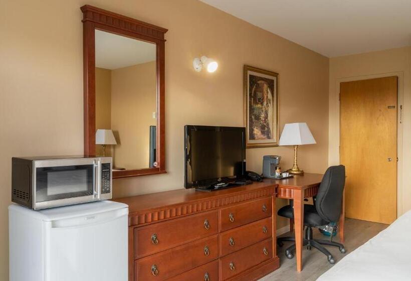 스탠다드 룸 킹사이즈 침대, Hôtel Motel La Vigie