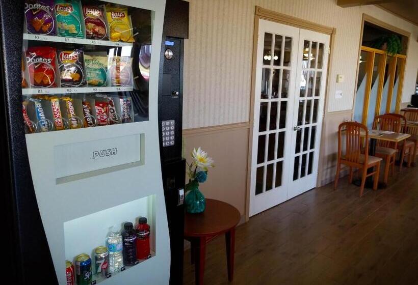 바다 전망 스위트, Hôtel Motel La Vigie