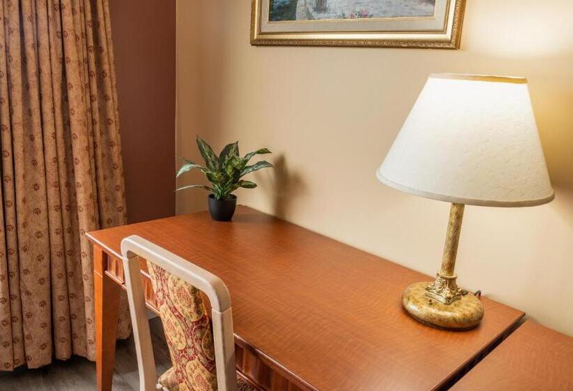 스탠다드 룸 바다 전망, Hôtel Motel La Vigie