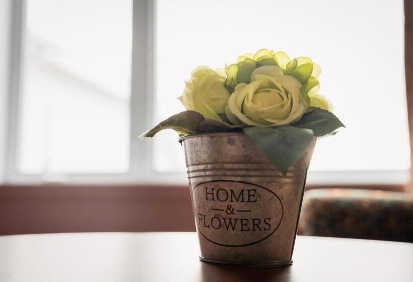 수피리어 룸, Hôtel Motel La Vigie