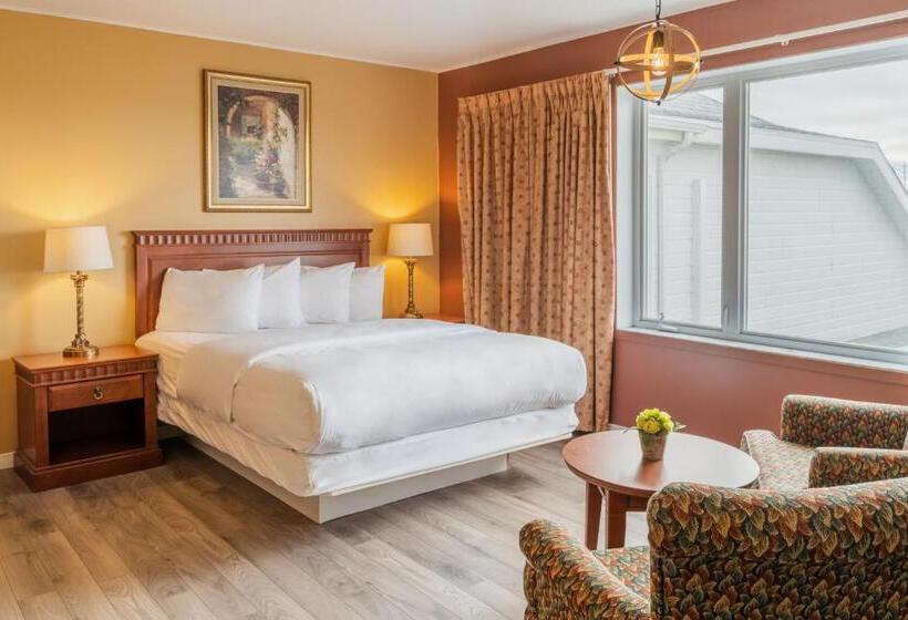 수피리어 룸, Hôtel Motel La Vigie