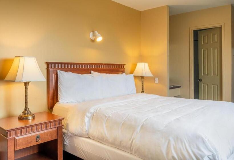 디럭스 룸 바다 전망, Hôtel Motel La Vigie