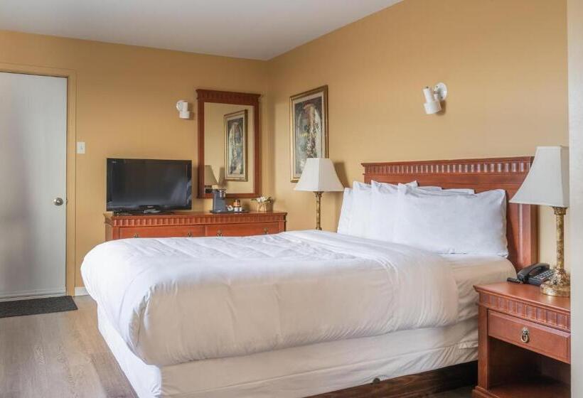 디럭스 룸 바다 전망, Hôtel Motel La Vigie