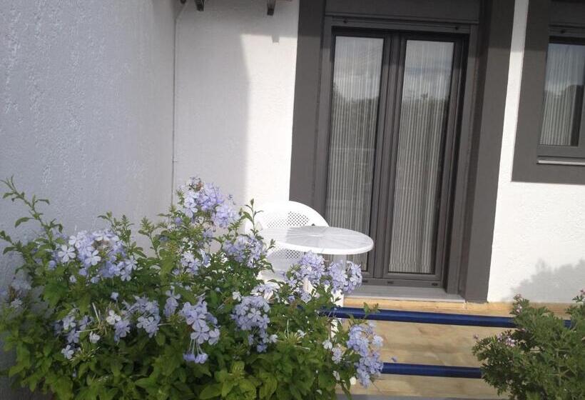 Standard-studio, Villa Marina