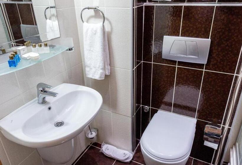 اتاق استاندارد سه نفره, Grand Rosa