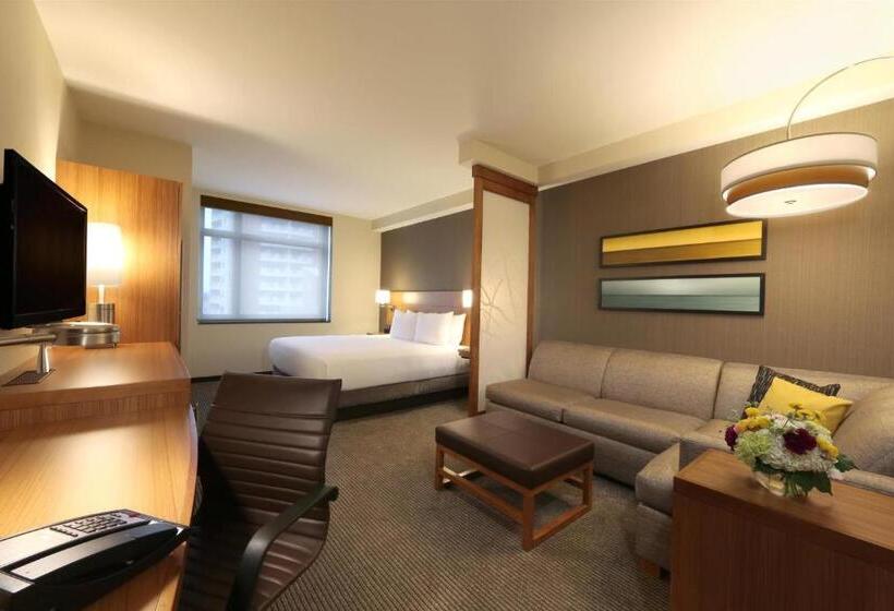 اتاق استاندارد با تخت بزرگ, Hyatt Place Flushing/lga Airport