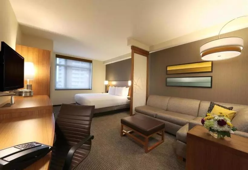 キングサイズベッドのスタンダードルーム, Hyatt Place Flushing/lga Airport