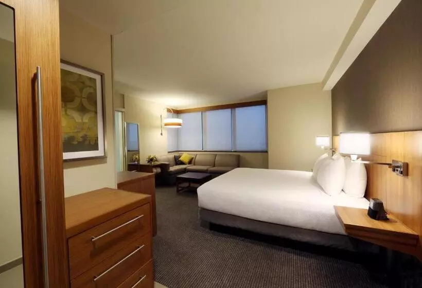 キングサイズベッドのスタンダードルーム, Hyatt Place Flushing/lga Airport