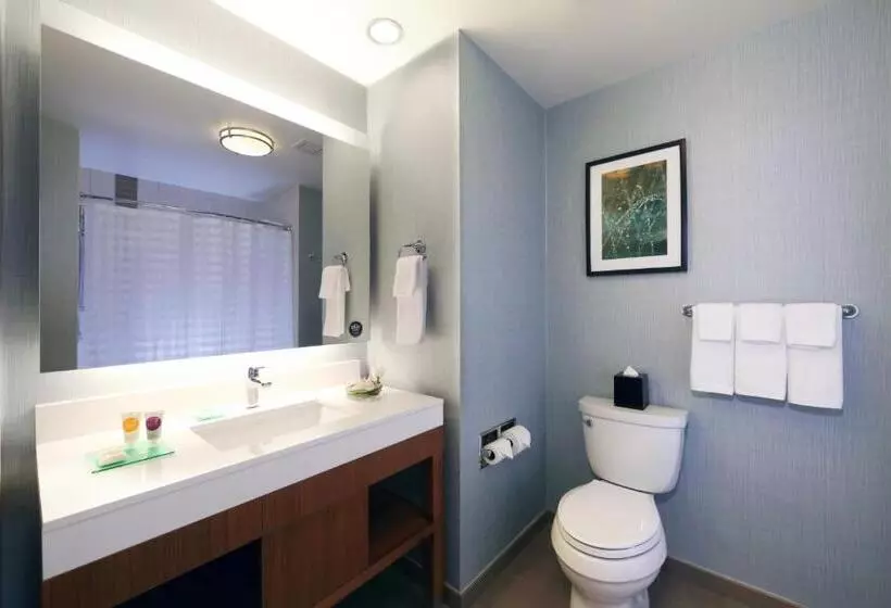 上層階スタンダードルーム, Hyatt Place Flushing/lga Airport