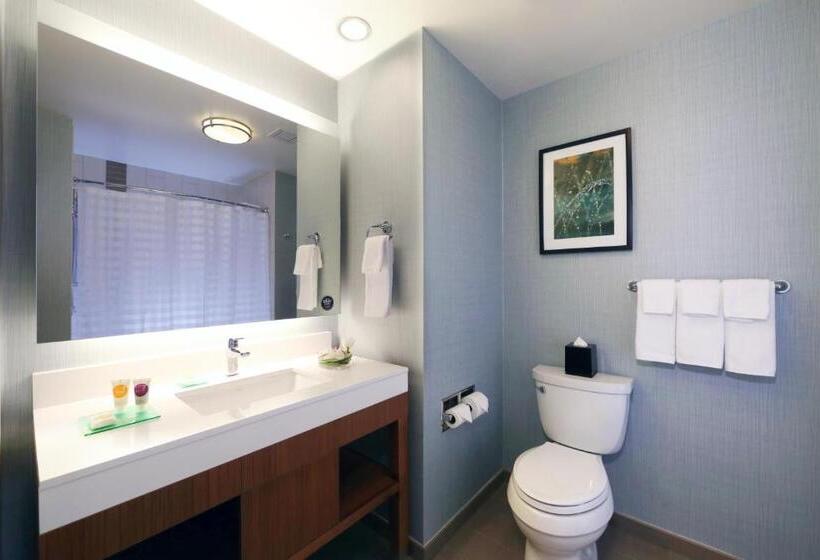 غرفه قياسيه سريرين مزدوجين, Hyatt Place Flushing/lga Airport