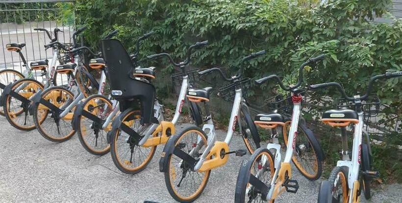 اتاق استاندارد, Laika