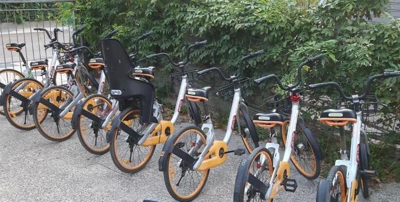 اتاق استاندارد سه نفره, Laika