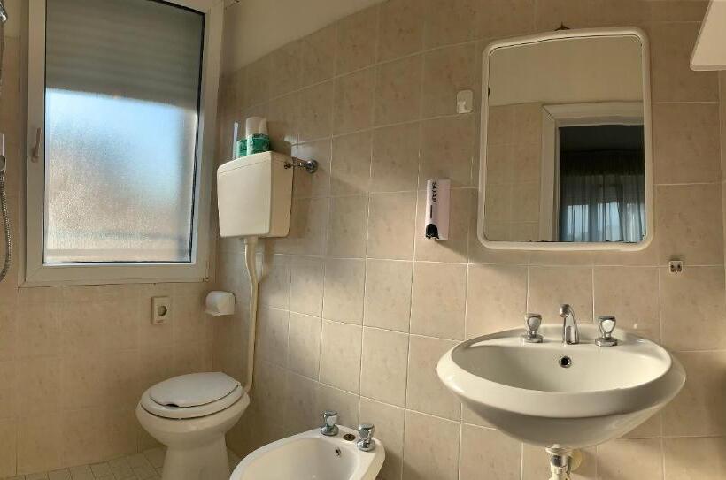 اتاق استاندارد سه نفره, Laika