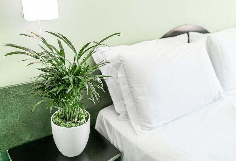 기본룸, Medusa Splendid