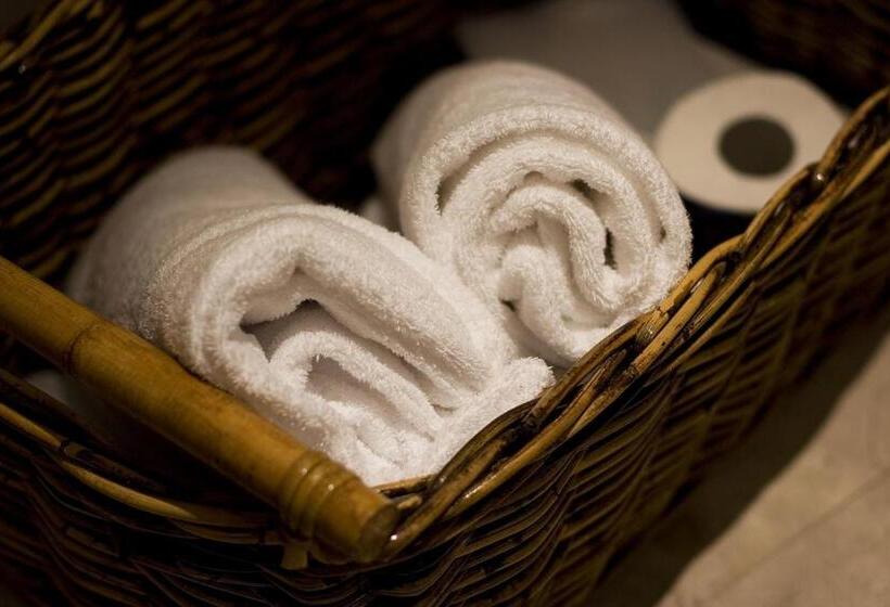 Люкс с Террасой, Nic