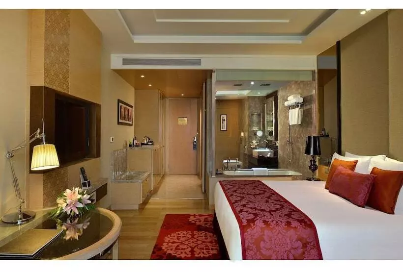 اتاق کلاس بیزنس, Radisson Blu Jaipur