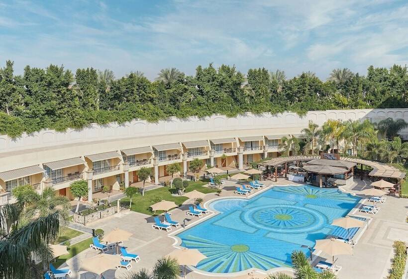 سوئیت اجرایی با تخت کینگ, Renaissance Cairo Mirage City