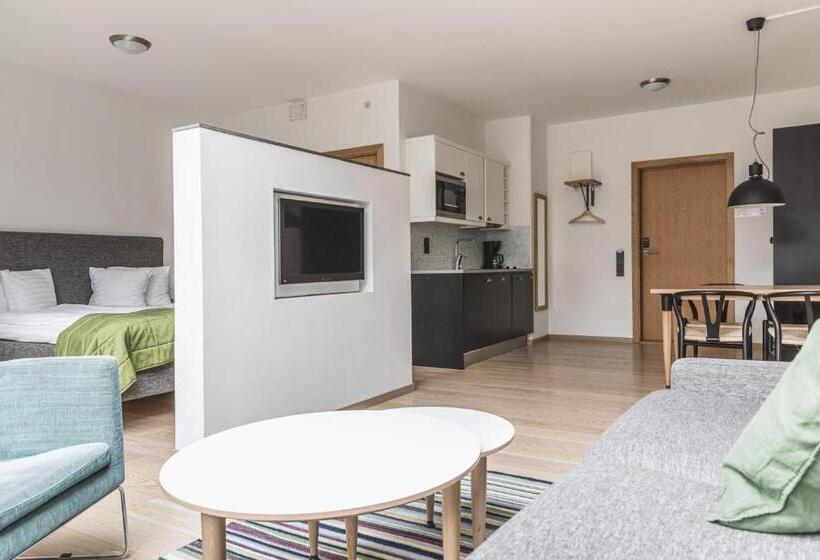 高级工作室, The More Hotel Lund