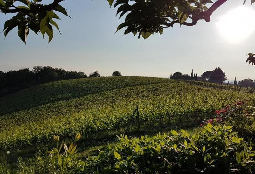 اتاق استاندارد با چشم‌انداز باغ, Le Fonti A San Giorgio