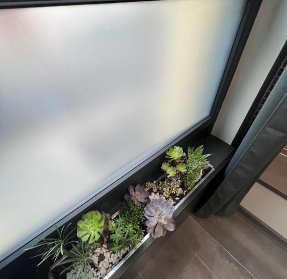 اتاق دوبلکس, Residence Star