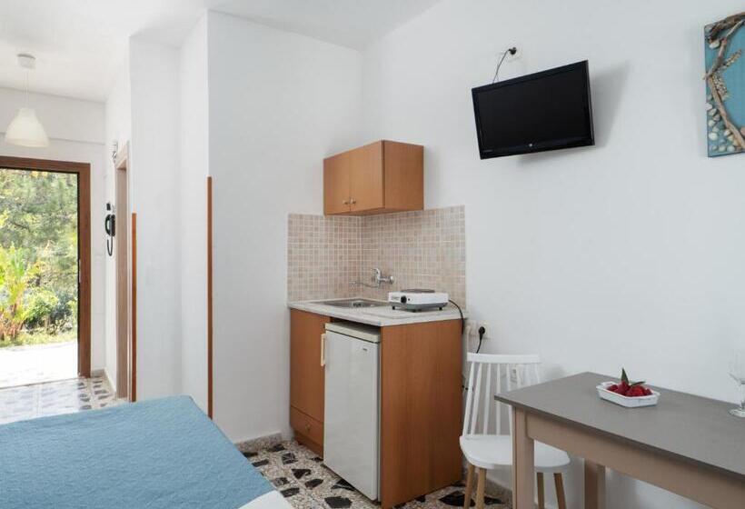 Номер Стандарт Вид на Море с Балконом, Spiros Soula Family Hotel & Apartments