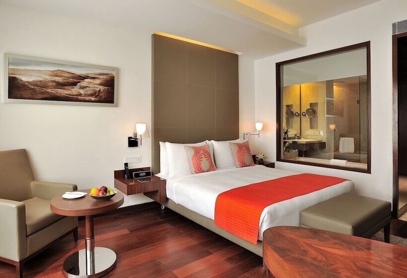 غرفة قياسية, The Anya Hotel, Gurgaon