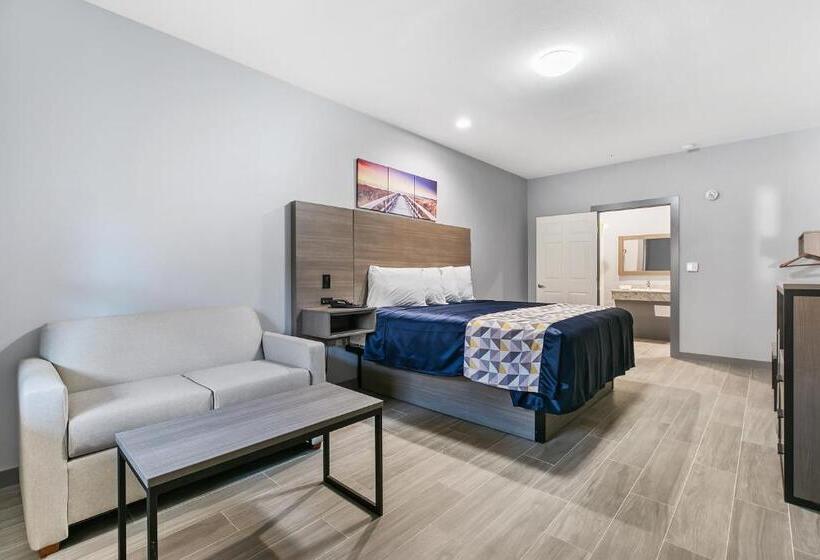 غرفة قياسية سرير كينج لذوى الإحتياجات الخاصة, El Delfin Lodge