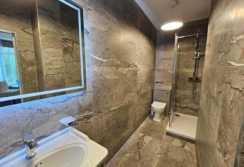 Апартаменты 1 Спальня Нижний Этаж, Abbey