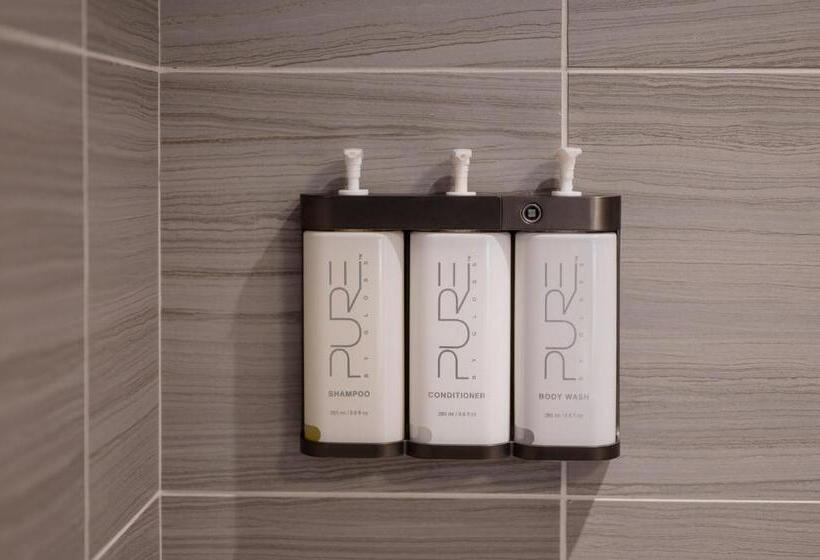 غرفة قياسية رباعية, Cambria Hotel Boston Somerville