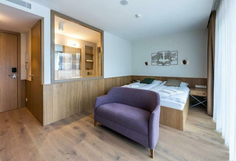 اتاق استاندارد, Raj Zdravia