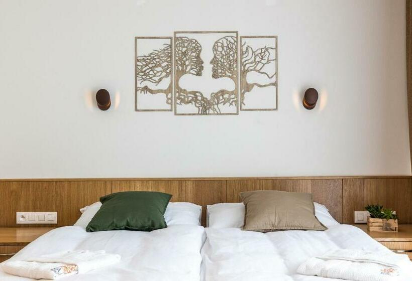 اتاق استاندارد, Raj Zdravia