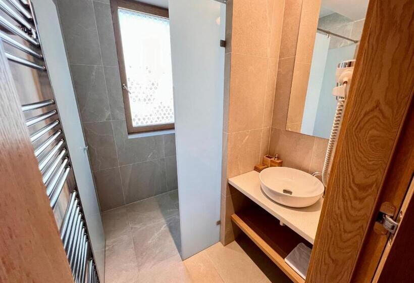 اتاق استاندارد با سرویس بهداشتی مشترک, Raj Zdravia