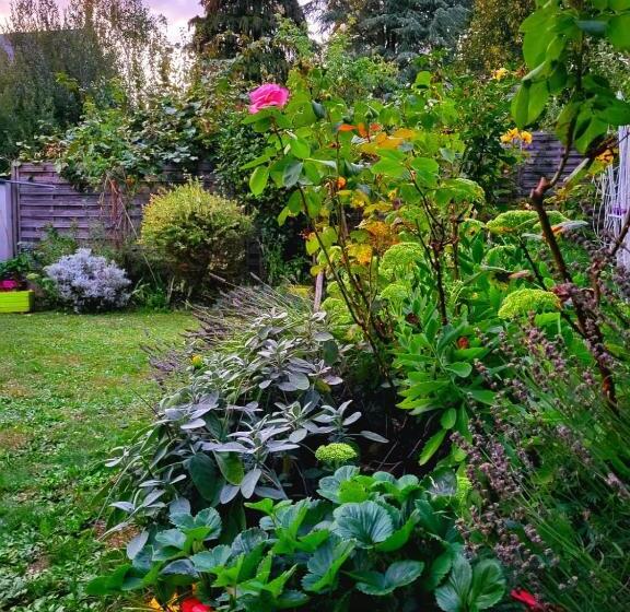 غرفة عائلية مطلّة علي الحديقة, Welcome