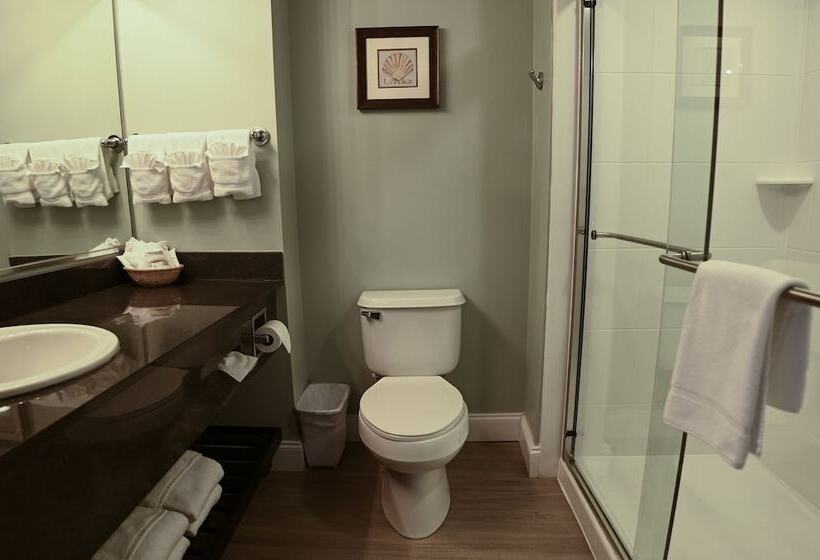 带观景的标准间, Park Place