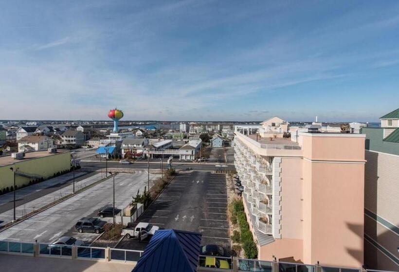 带2个双人床的标准工作室, Park Place