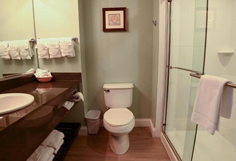 适合残疾人士使用的带超级大床的标准间, Park Place