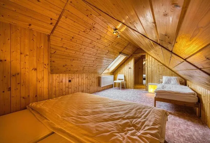 １ベッドルームドゥプレックスアパートメント, Apartmány Pod šerákem