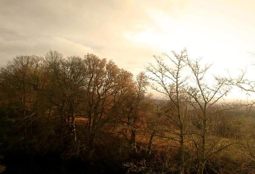 غرفة سوبيريور, Orchy Bank House