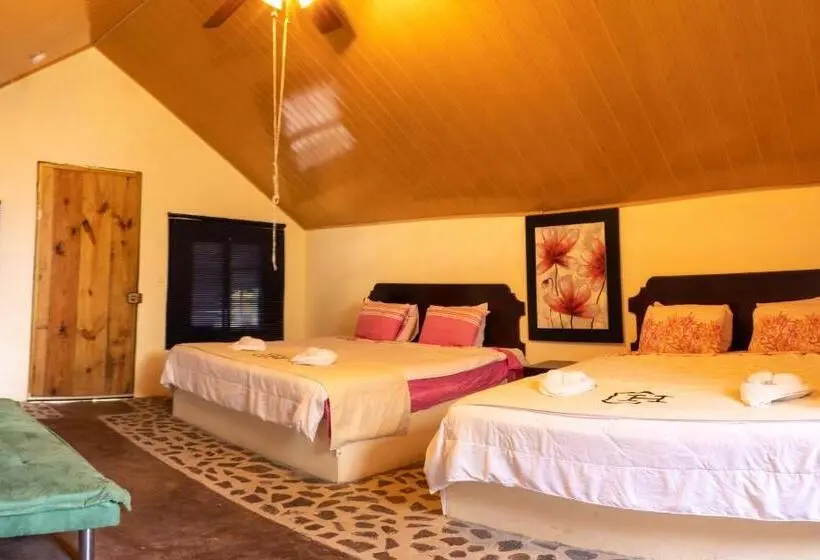 デラックスの４人部屋, Refugio Cariguana