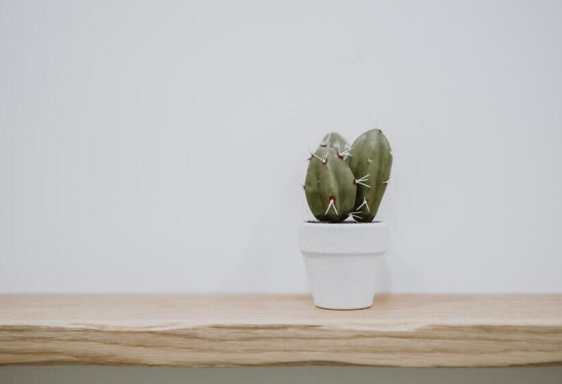 基本间, Maravigghia Palermo Rooms