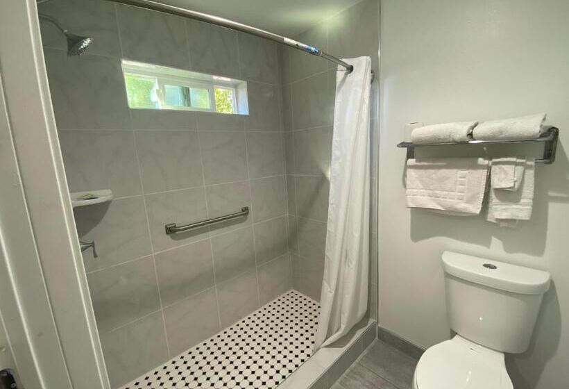 带大床的标准间, Royale Inn Motel