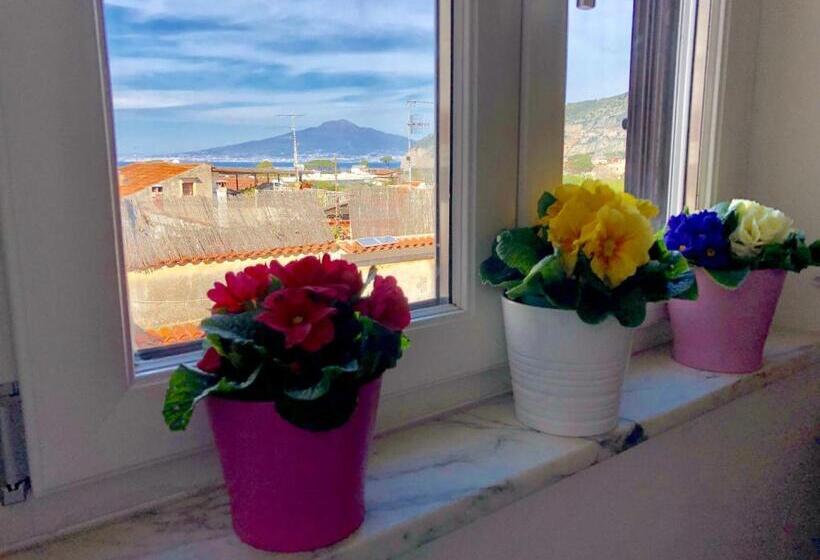 Апартаменты Deluxe 1 Спальня, Vesuvio House Appartamento Indipendente E Centrale