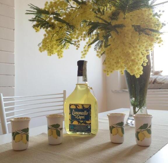 Апартаменты Deluxe 1 Спальня, Vesuvio House Appartamento Indipendente E Centrale