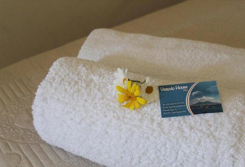 Дом 1 Спальня, Vesuvio House Appartamento Indipendente E Centrale